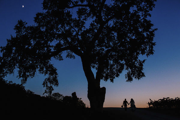 wedding photo by Mark Janzen Photography - San Francisco, California | via junebugweddings.com