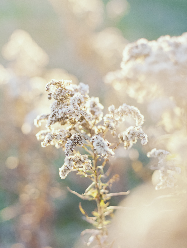 wedding photo by When He Found Her - Reid Lambshead, Toronto, Canada wedding photographer | via junebugweddings.com