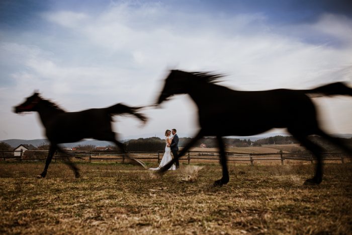 horses running wedding TPOM
