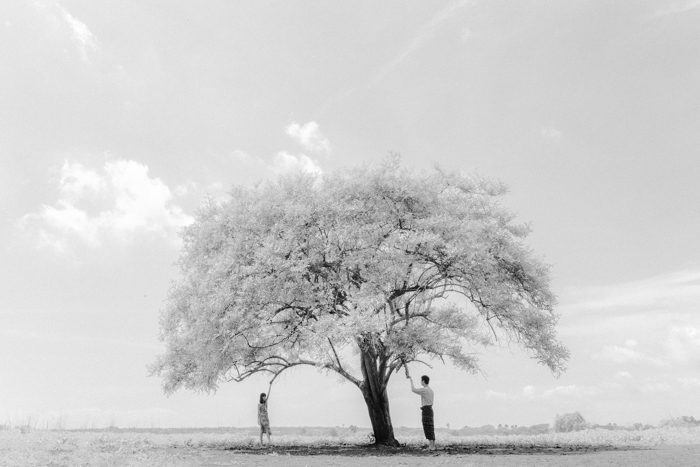 black and white wedding with large tree