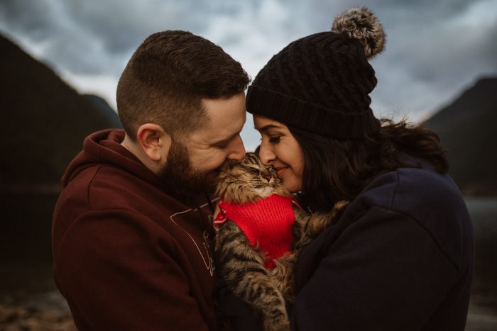 kitten engagement photo feb