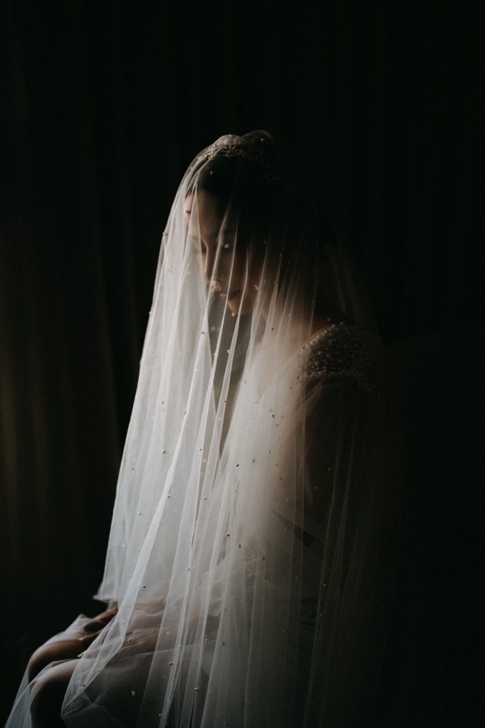 bridal portrait dark and moody veil