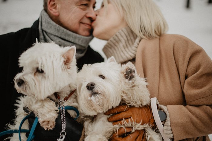 couple in city with their two West Highland White Terriers