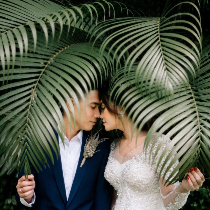 wedding portrait couple behind palm leaves