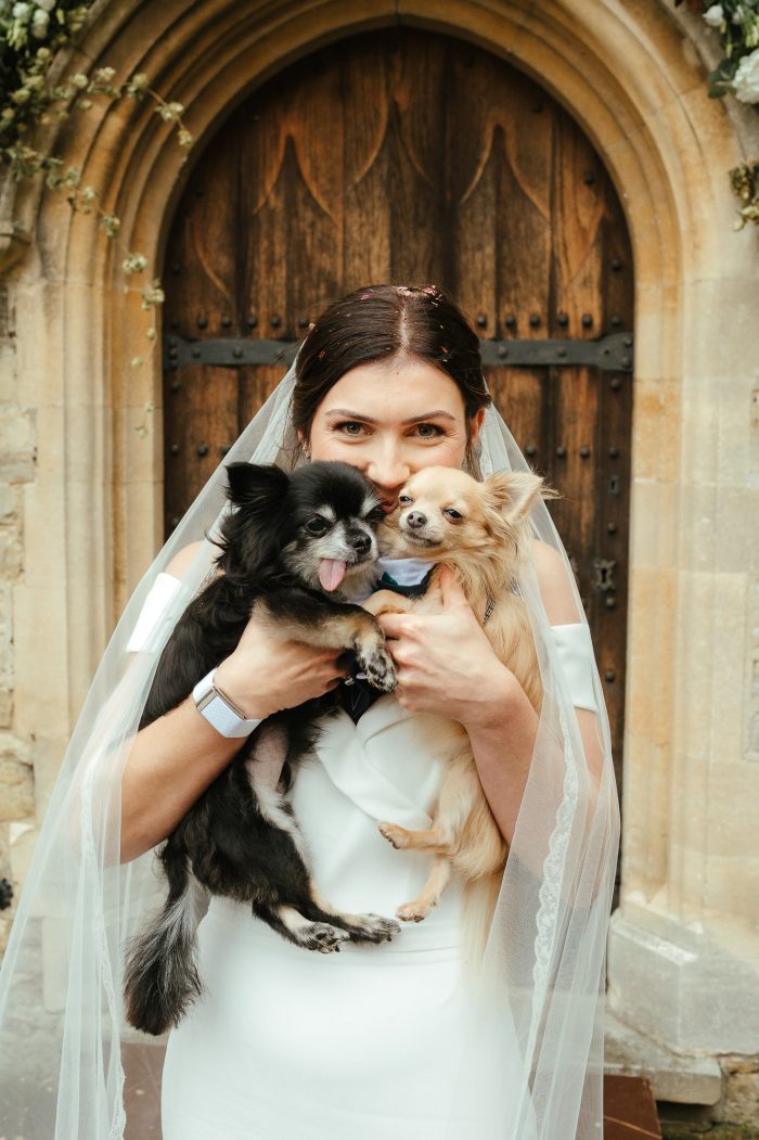 bride holding her two Chihuahuas