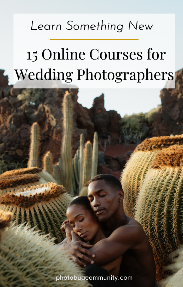 15 online courses for wedding photographers