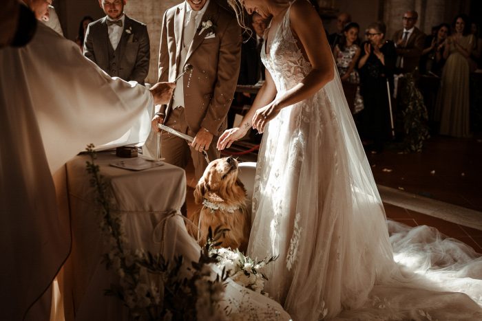 dog getting blessed at wedding