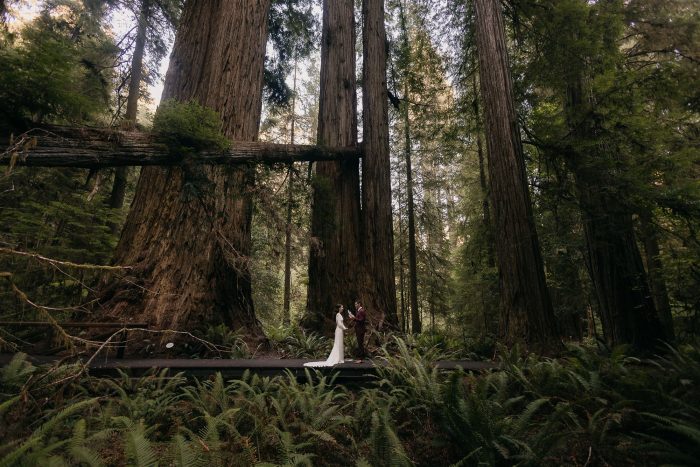 wedding in the forest
