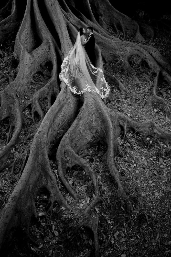 wedding day couple standing on the roots of a tree